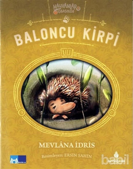 Picture of Baloncu Kirpi - Hayvanlar İş Başında