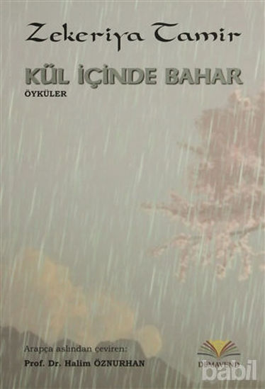 Picture of Kül İçinde Bahar