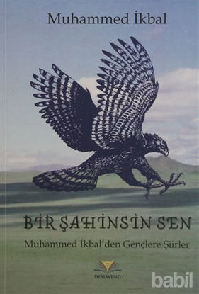 Picture of Bir Şahinsin Sen