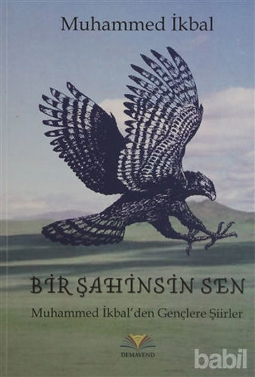 Picture of Bir Şahinsin Sen