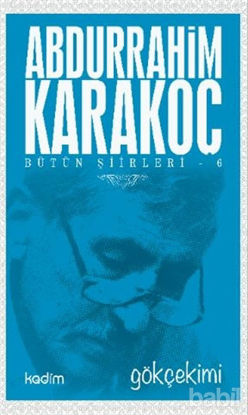 Picture of Bütün Şiirleri 6: Gökçekimi