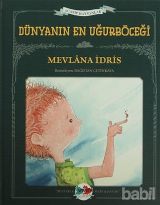 Picture of Dünyanın En Uğurböceği