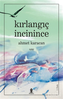 Picture of Kırlangıç İncinince