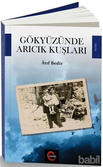 Picture of Gökyüzünde Arıcık Kuşları