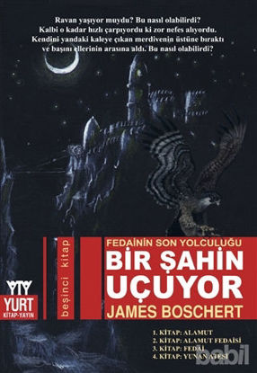 Picture of Bir Şahin Uçuyor