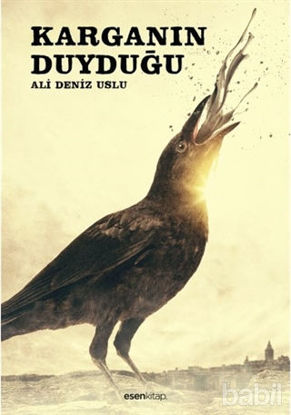 Picture of Karganın Duyduğu