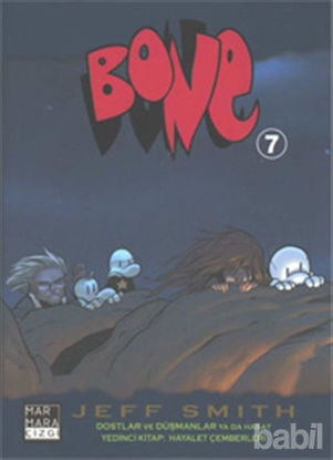 Picture of Bone 7