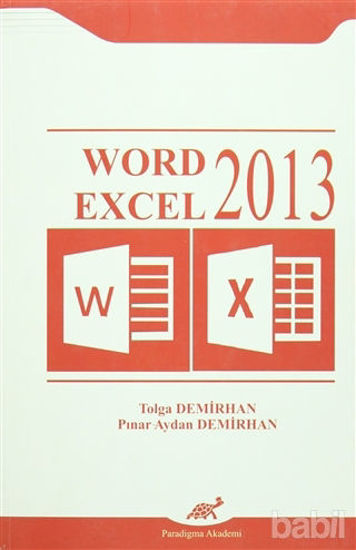 Picture of Word Excel 2013
