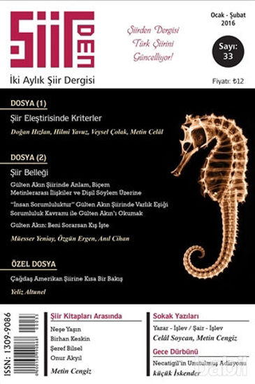 Picture of Şiirden İki Aylık Şiir Dergisi Sayı: 33 Ocak-Şubat 2016