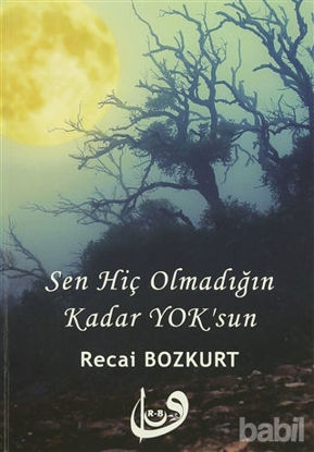 Picture of Sen Hiç Olmadığın Kadar Yok'sun