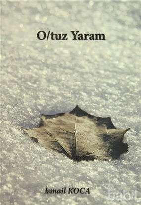 Picture of O/tuz Yaram