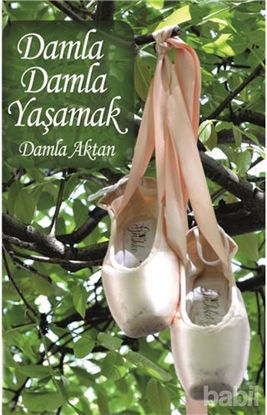 Picture of Damla Damla Yaşamak