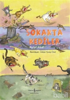 Picture of Sokakta Kediler