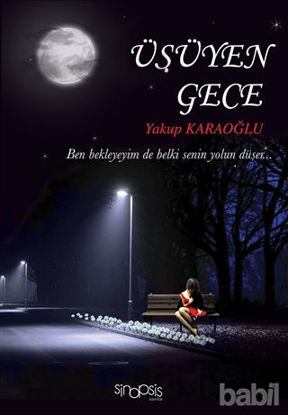 Picture of Üşüyen Gece