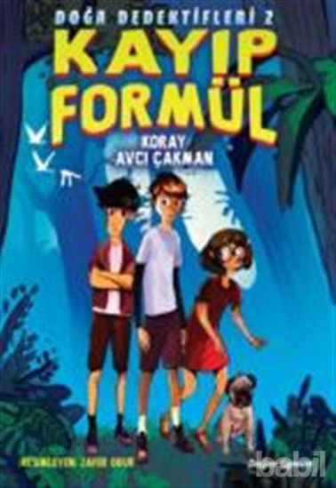 Picture of Kayıp Formül