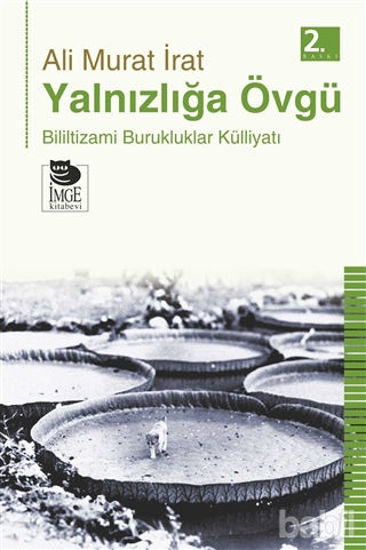 Picture of Yalnızlığa Övgü