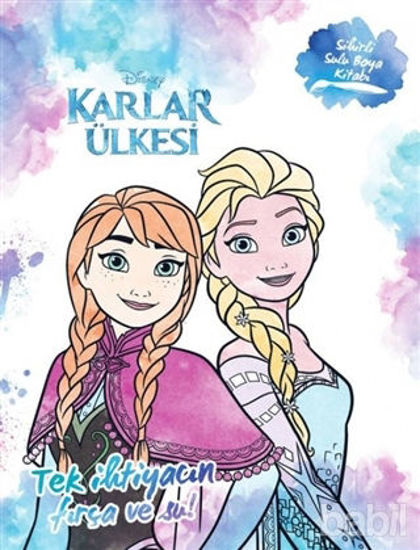 Picture of Disney Karlar Ülkesi