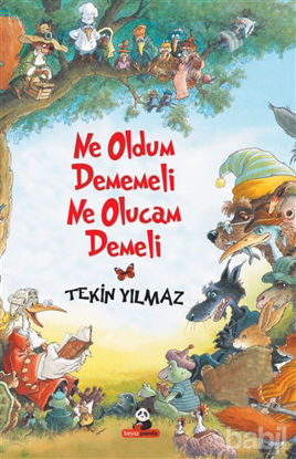 Picture of Ne Oldum Dememeli Ne Olucam Demeli