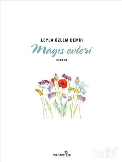 Picture of Mayıs Evleri