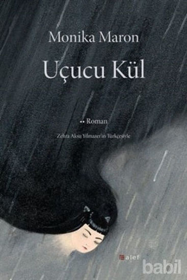 Picture of Uçucu Kül