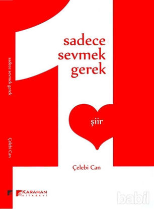 Picture of Sadece Sevmek Gerek