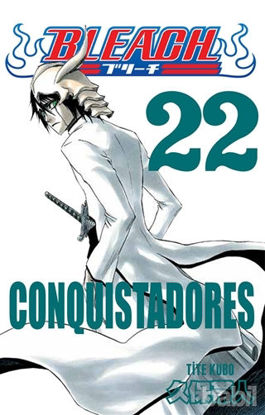 Picture of Bleach 22. Cilt