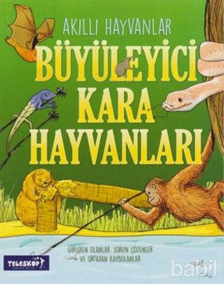 Picture of Büyüleyici Kara Hayvanları