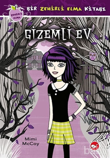 Picture of Gizemli Ev