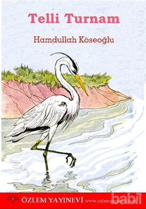 Picture of Telli Turnam