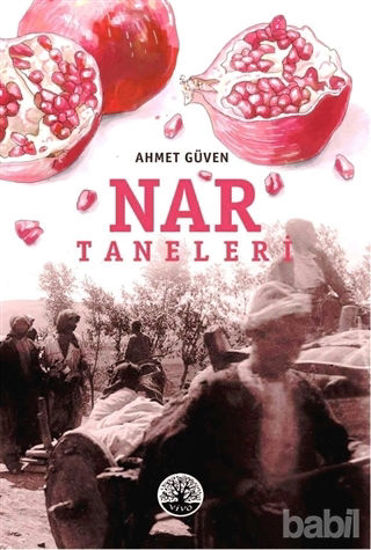 Picture of Nar Taneleri