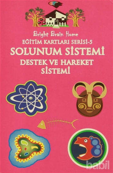 Picture of Solunum Sistemi, Destek ve Hareket Sistemi - Eğitim Kartları Serisi 5
