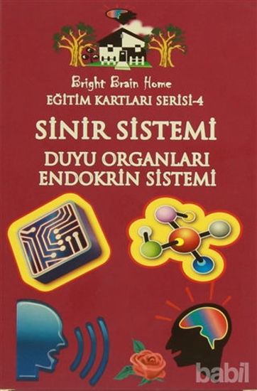 Picture of Sinir Sistemi, Duyu Organları, Endokrin Sistemi - Eğitim Kartları Serisi 4