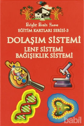 Picture of Dolaşım Sistemi, Lenf Sistemi, Bağışıklık Sistemi - Eğitim Kartları Serisi 3