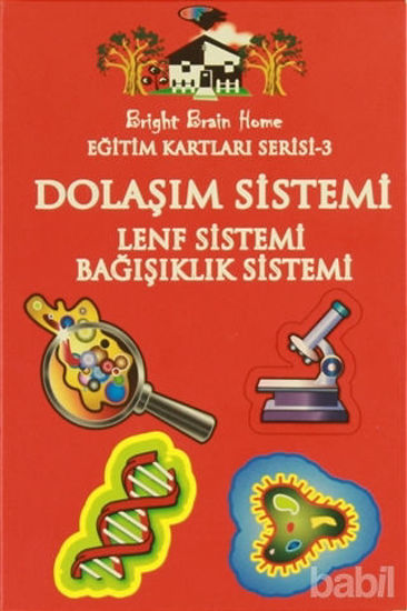 Picture of Dolaşım Sistemi, Lenf Sistemi, Bağışıklık Sistemi - Eğitim Kartları Serisi 3