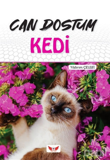 Picture of Can Dostum Kedi