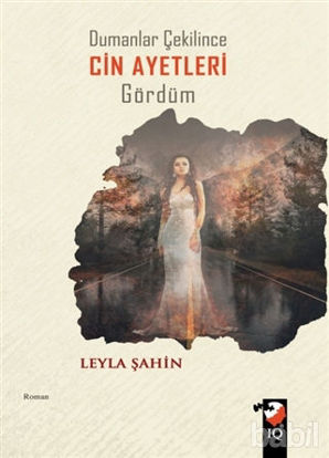 Picture of Dumanlar Çekilince Cin Ayetleri Gördüm