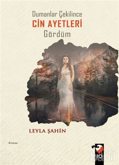 Picture of Dumanlar Çekilince Cin Ayetleri Gördüm