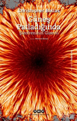 Picture of Güneş Patladığında