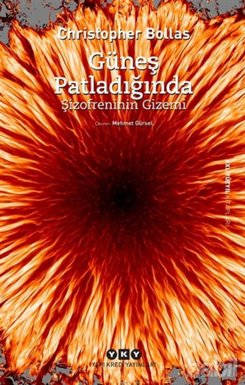 Picture of Güneş Patladığında