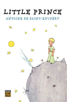 Picture of Little Prince