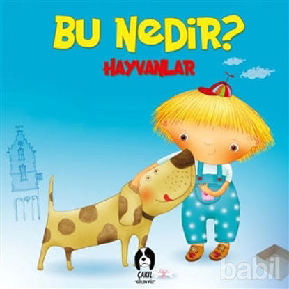 Picture of Hayvanlar - Bu Nedir?