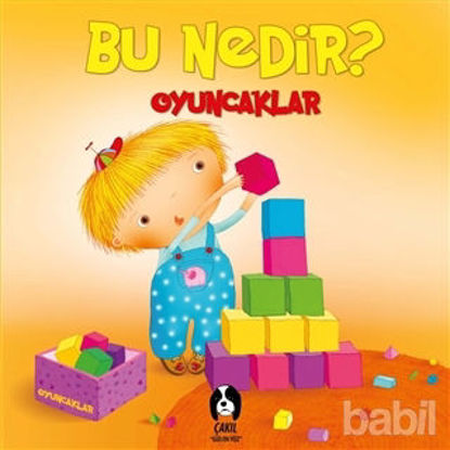 Picture of Oyuncaklar - Bu Nedir?