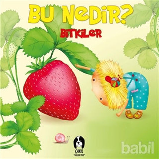 Picture of Bitkiler - Bu Nedir?