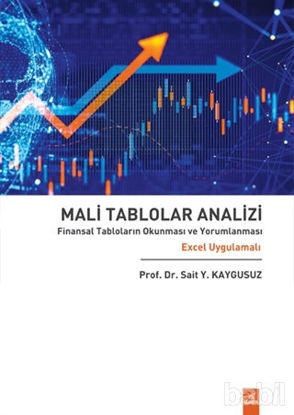 Picture of Mali Tablolar Analizi