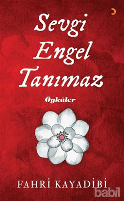 Picture of Sevgi Engel Tanımaz