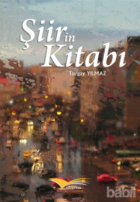 Picture of Şiirin Kitabı