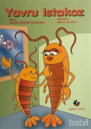 Picture of Yavru Istakoz