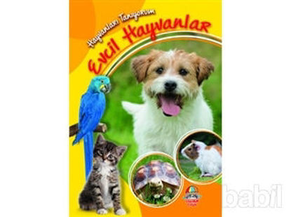 Picture of Evcil Hayvanlar - Hayvanları Tanıyorum