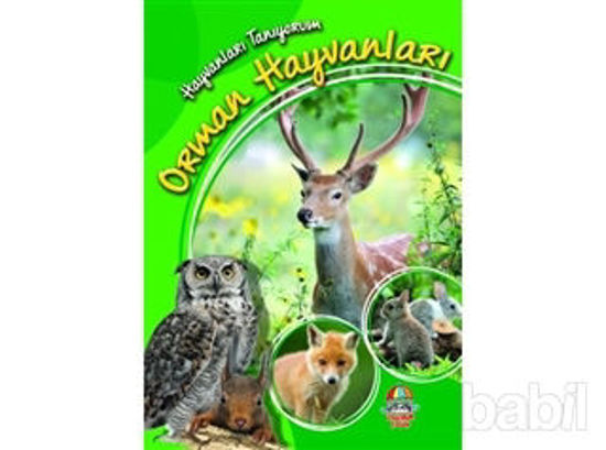 Picture of Orman Hayvanları - Hayvanları Tanıyorum