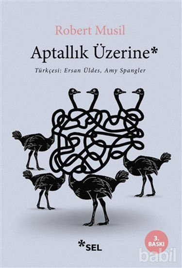 Picture of Aptallık Üzerine